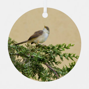 Entzückendes Spatzen-Vogel-Foto Ornament Aus Metall