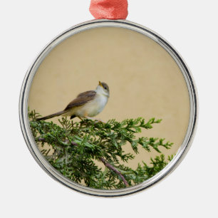 Entzückendes Spatzen-Vogel-Foto Silbernes Ornament