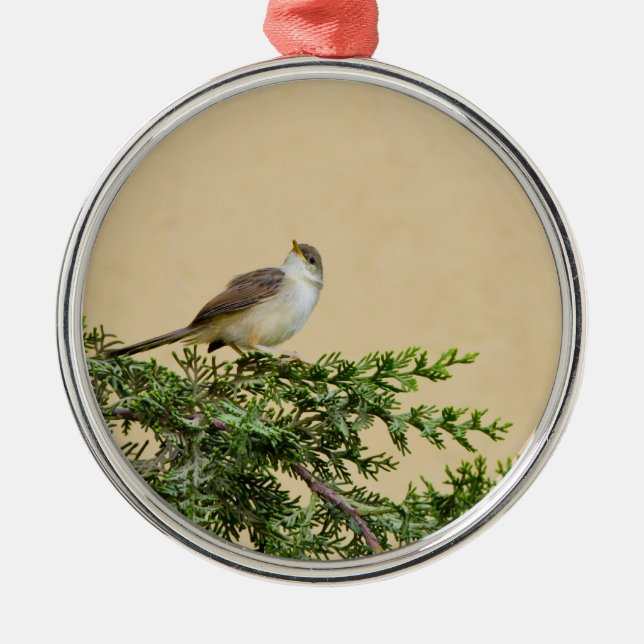 Entzückendes Spatzen-Vogel-Foto Silbernes Ornament (Vorne)