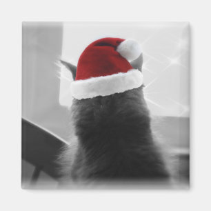Entzückendes Weihnachtskätzchen Magnet