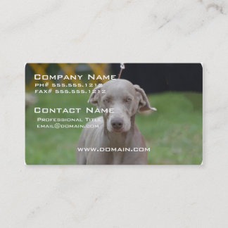 Entzückendes Weimaraner Visitenkarte