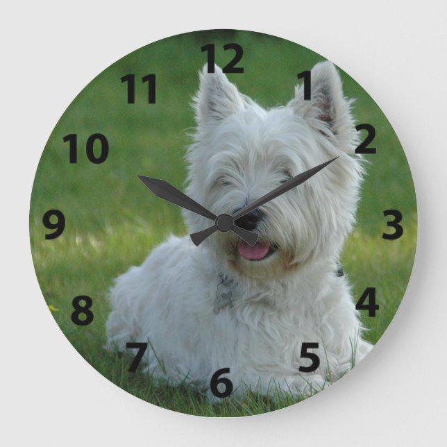 Entzückendes Westhochland Terrier Große Wanduhr (Vorderseite)