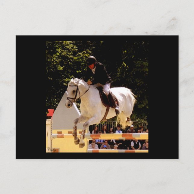 Envol Postkarte (Vorderseite)