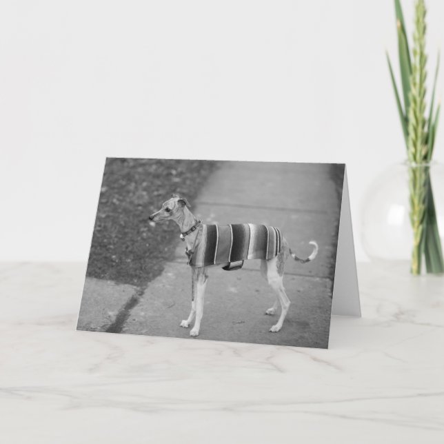 Enzo Gruß-Karte Karte (Vorderseite)