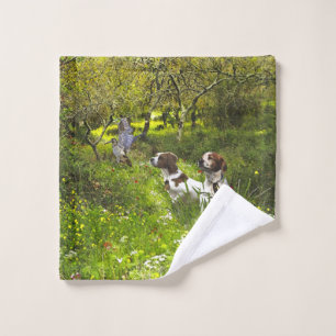 Epagneul Breton, Bretagne Spaniel Badhandtuch Set