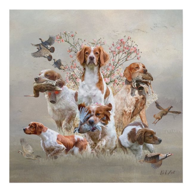 Epagneul Breton, Bretagne Spaniel Fotodruck (Vorne)