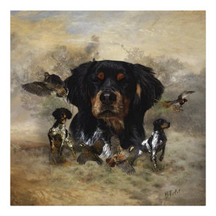 Epagneul Breton, Bretagne Spaniel Fotodruck