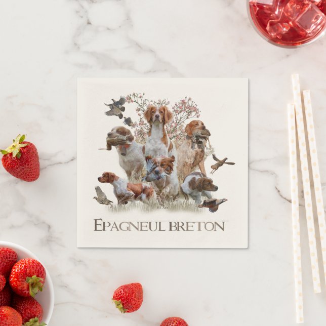 Epagneul Breton, Bretagne Spaniel Serviette (Beispiel)