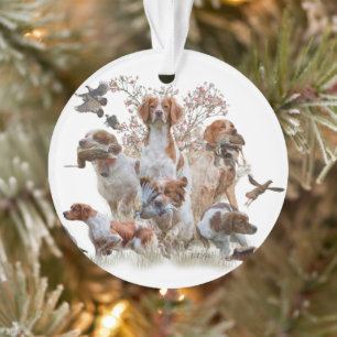 Epagneul Breton, Brittany Spaniel      Ornament