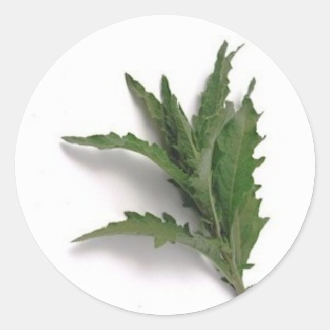 Epazote Runder Aufkleber (Vorderseite)