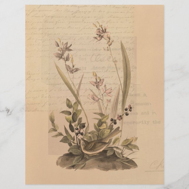 Ephemera 5 Scrapbook Papier (Vorderseite)