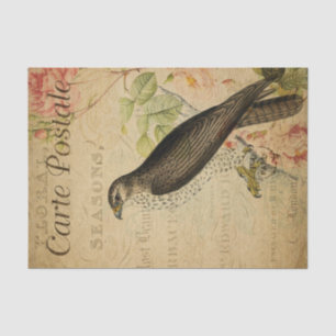 Ephemera Buzzard Bird of Prey Decoupage Seidenpapier
