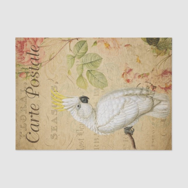 Ephemera Cockatoo Bird Decoupage Seidenpapier (Vorderseite)