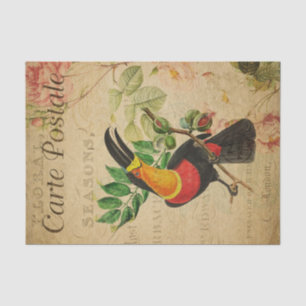 Ephemera: Dekoupage des Tropischen Toucan Bird Seidenpapier