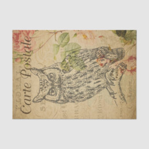 Ephemera Französische Postkarten-Linienkunst Eule Seidenpapier
