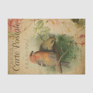 Ephemera Französische Postkarten Vögel Floral Deco Seidenpapier