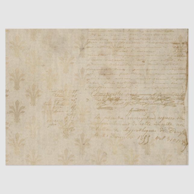 Ephemera French Paper Series Design 6 Seidenpapier (Vorderseite)