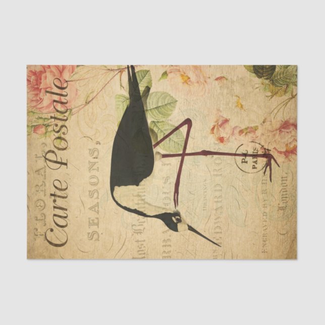 Ephemera French Postcard Avocet Bird Decoupage Seidenpapier (Vorderseite)