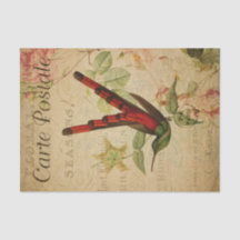 Ephemera French Postcard Hummingbird Decoupage