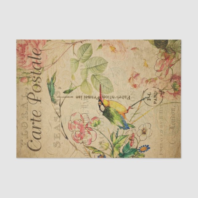 Ephemera French Postcard Kingfisher Bird Decoupage Seidenpapier (Vorderseite)