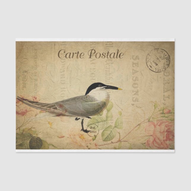 Ephemera French Postcard Niedlich Bird Decoupage Seidenpapier (Vorderseite)