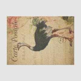 Ephemera French Postcard Ostrich Decoupage Seidenpapier