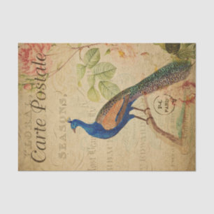 Ephemera French Postcard Peacock Decoupage Seidenpapier