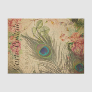 Ephemera French Postcard Peacock Feather Decoupage Seidenpapier