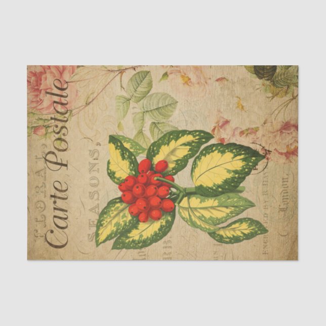 Ephemera French Postcard Red Berries Decoupage Seidenpapier (Vorderseite)