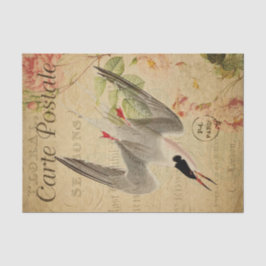 Ephemera French Postcard Tern Bird Decoupage Seidenpapier