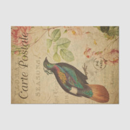 Ephemera Himalayan Monal Pheasant Bird Decoupage Seidenpapier