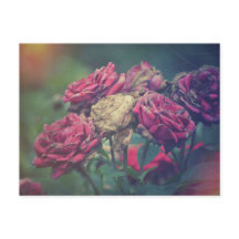 Ephemera Journal Craft Postcard Rose