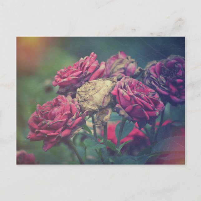 Ephemera Journal Craft Postcard Rose Postkarte (Vorderseite)