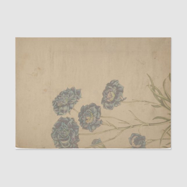 Ephemera Sheet Design Serie #1 Seidenpapier (Vorderseite)