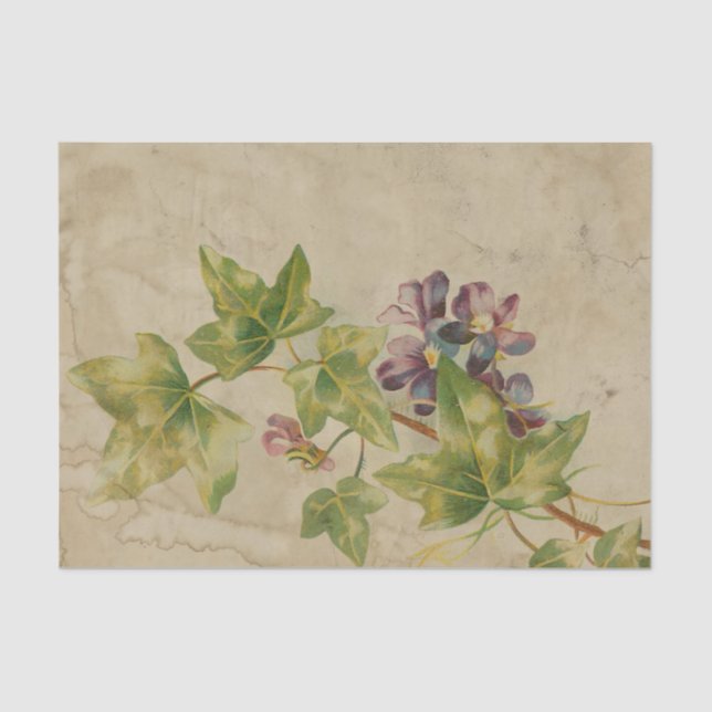 Ephemera Sheet Design Serie #5 Seidenpapier (Vorderseite)