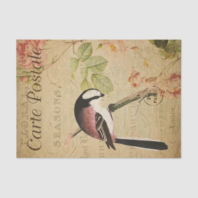 Ephemera Tit Bird Pink Roses Decoupage Seidenpapier (Vorderseite)