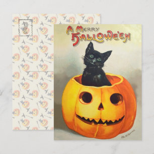 Ephemera Vintag Halloween Illustration Black Cat Postkarte