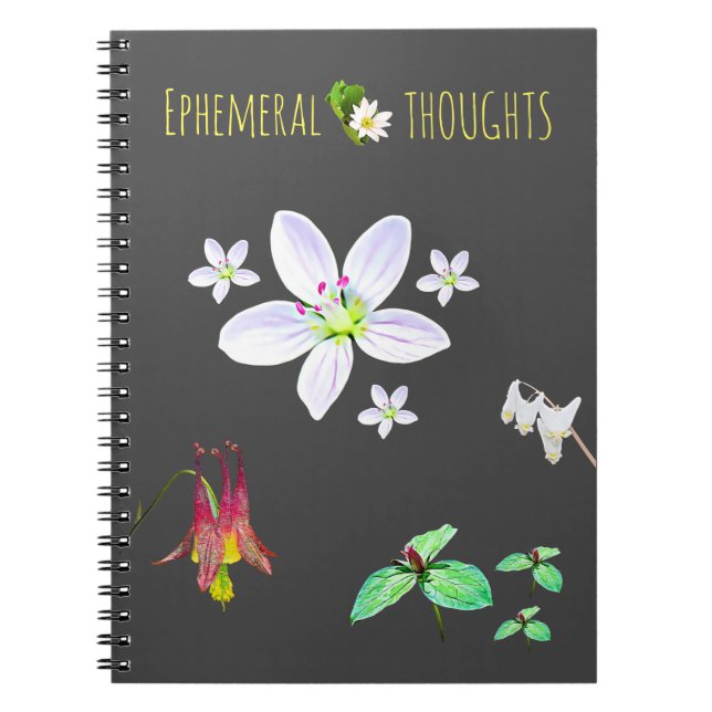 Ephemerials Thoughts Blank Notebook Notizblock (Vorderseite)