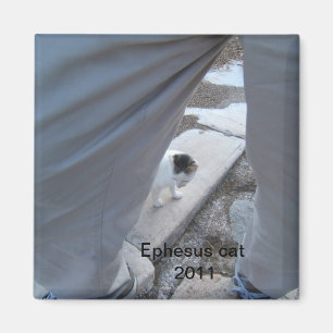 Ephesus Katzen-Magnet Magnet