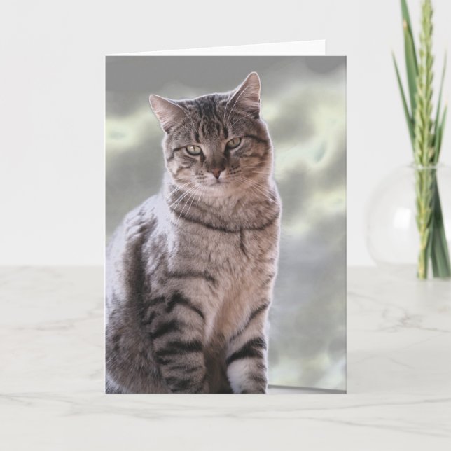 Ephraims Katze Karte (Vorderseite)