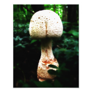 Epic Mushroom Fotodruck