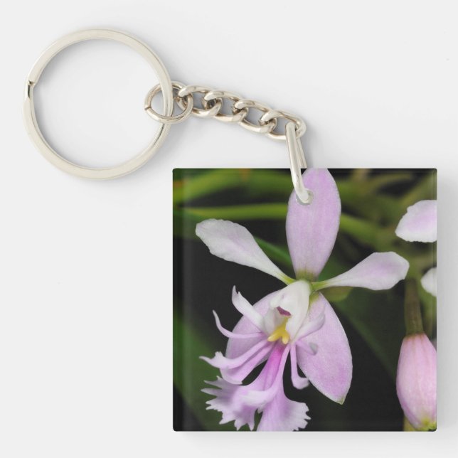 Epidendrum caligarium schlüsselanhänger (Vorderseite)