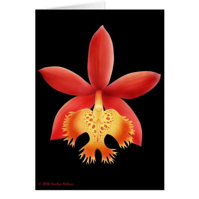 Epidendrum-Orchideen-Blumen-Karte (Vorne)
