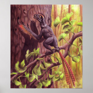 Epidexipteryx Poster