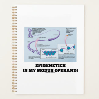 Epigenetik ist mein Modus Operandi Mechanismen Planer