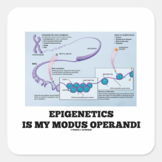 Epigenetik ist mein Modus Operandi (Mechanismen) Quadratischer Aufkleber
