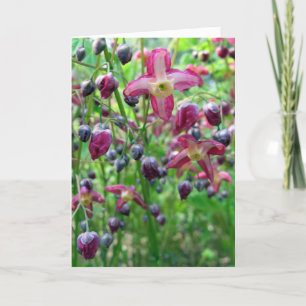 Epimedium Blume Geburtstagskarte Karte
