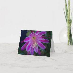 Epiphyllum-Blindkarte