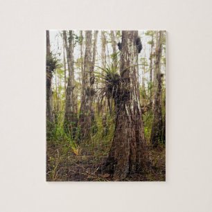 Epiphyte Bromeliad in Florida-Wald Puzzle