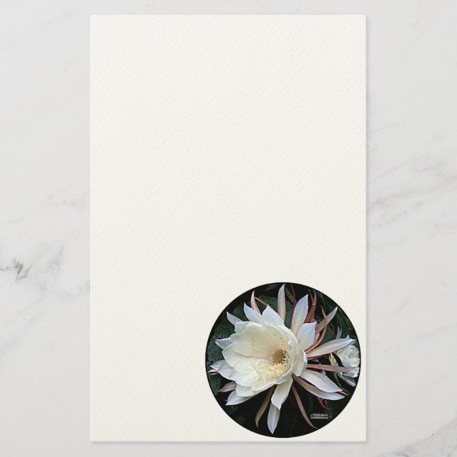 Epiphyte Cactus Blume Briefpapier (Vorderseite)